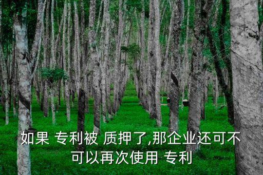專(zhuān)利質(zhì)押