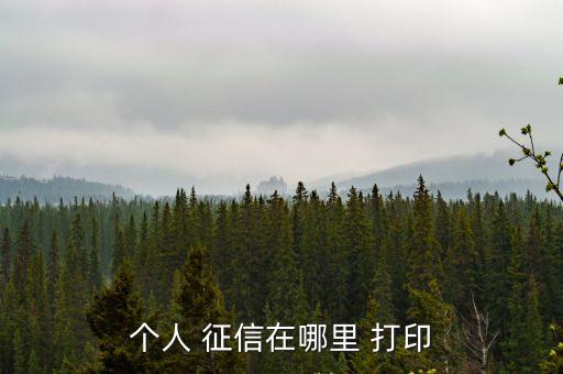 征信報告怎么打印,手機銀行查詢的征信報告怎么打印