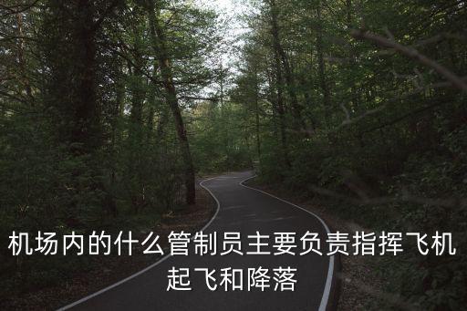 機(jī)場(chǎng)內(nèi)的什么管制員主要負(fù)責(zé)指揮飛機(jī)起飛和降落