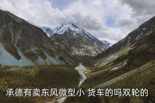承德有賣東風(fēng)微型小 貨車的嗎雙輪的