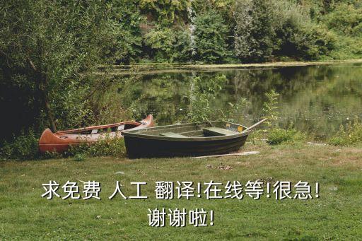 求免費 人工 翻譯!在線等!很急!謝謝啦!