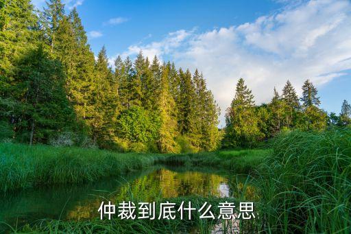 仲裁是什么意思,仲裁機構(gòu)是什么部門