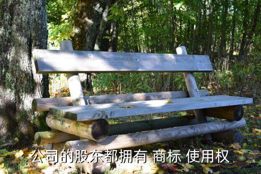 商標(biāo)使用權(quán)