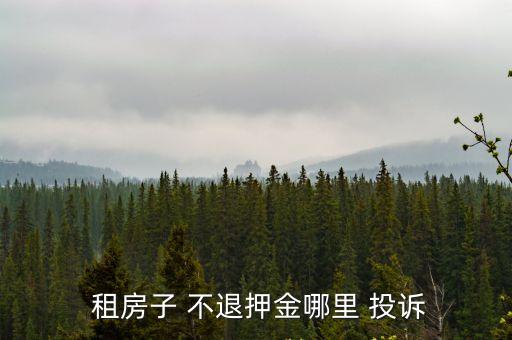 租房定金不退可以向哪個部門投訴,一時沖動交了定金還能退回嗎
