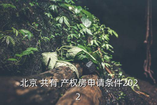 北京共有產(chǎn)權(quán)