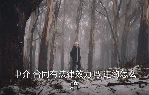 中介合同