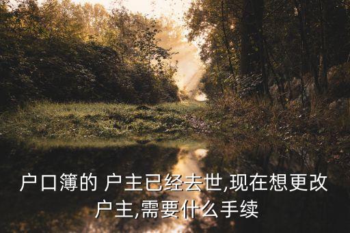 戶口簿的 戶主已經(jīng)去世,現(xiàn)在想更改 戶主,需要什么手續(xù)