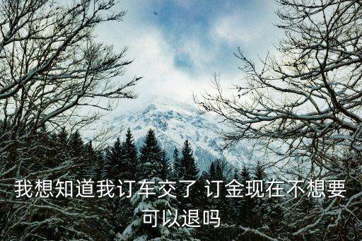 我想知道我訂車交了 訂金現(xiàn)在不想要可以退嗎
