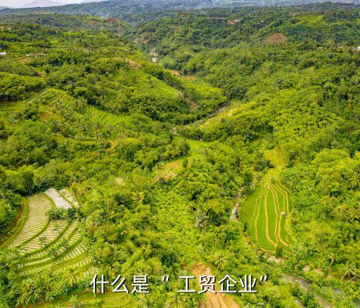 工貿(mào)公司