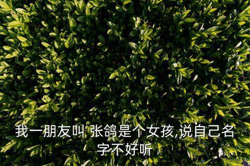 我一朋友叫 張鴿是個女孩,說自己名字不好聽