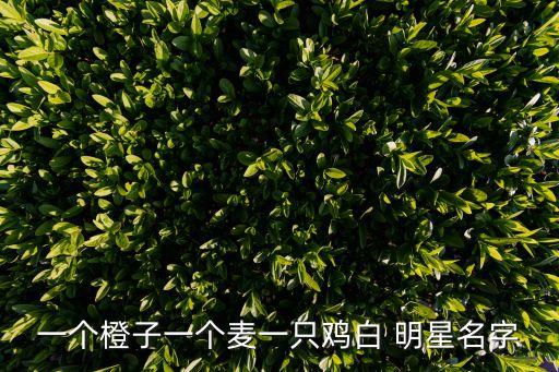 白明星
