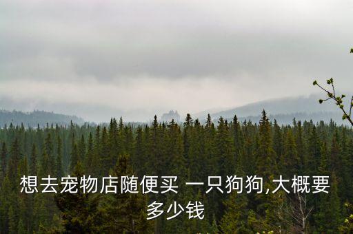 想去寵物店隨便買(mǎi) 一只狗狗,大概要多少錢(qián)