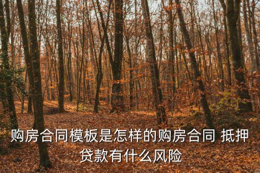 購房合同模板是怎樣的購房合同 抵押 貸款有什么風(fēng)險(xiǎn)
