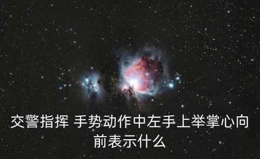 交警指揮 手勢動作中左手上舉掌心向前表示什么