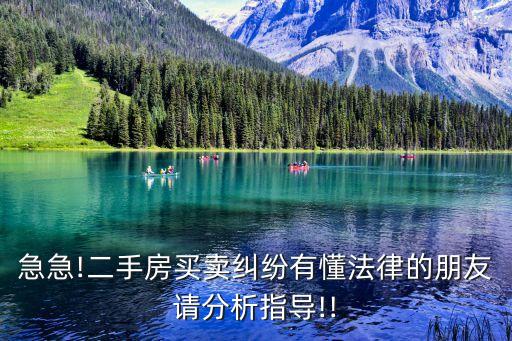急急!二手房買賣糾紛有懂法律的朋友請(qǐng)分析指導(dǎo)!!