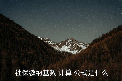  社保繳納基數(shù) 計算 公式是什么