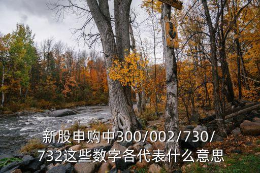 新股申購中300/002/730/ 732這些數字各代表什么意思