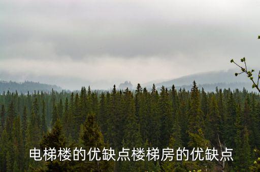  電梯樓的優(yōu)缺點(diǎn)樓梯房的優(yōu)缺點(diǎn)
