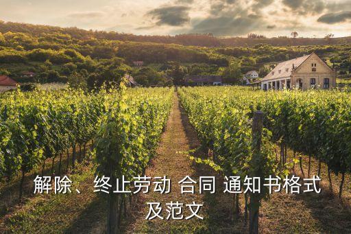 員工勞動(dòng)合同解除通知書模板,個(gè)人提出解除勞動(dòng)合同通知書模板