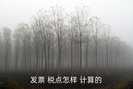 稅點怎么計算,增值稅發(fā)票稅點怎么計算