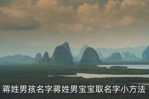 蔣姓男孩名字蔣姓男寶寶取名字小方法