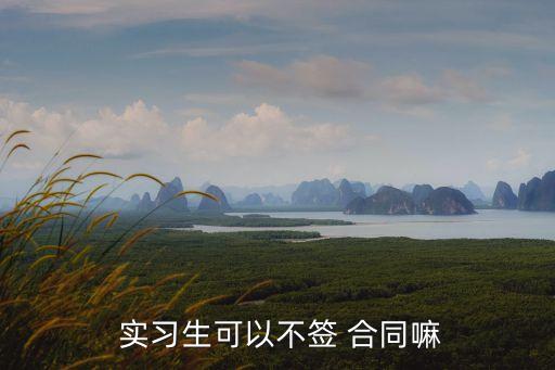  實習生可以不簽 合同嘛
