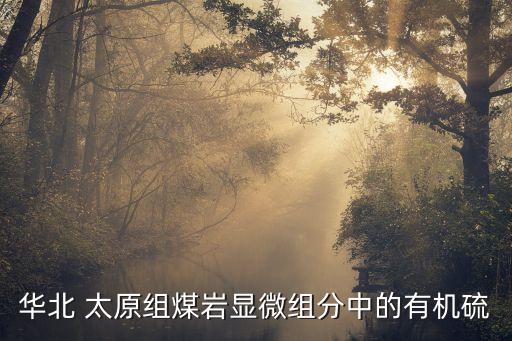 太原組