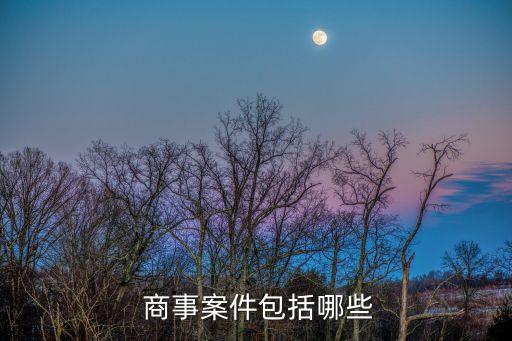 商事合同包含什么法律問題