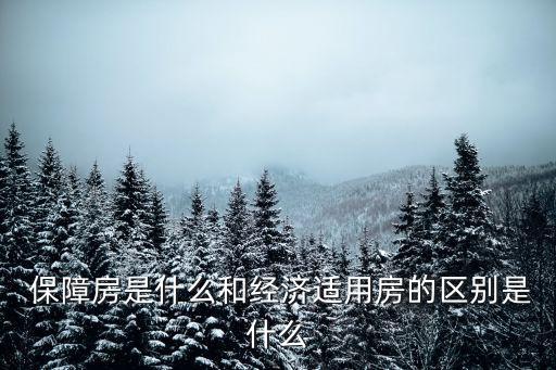  保障房是什么和經(jīng)濟適用房的區(qū)別是什么