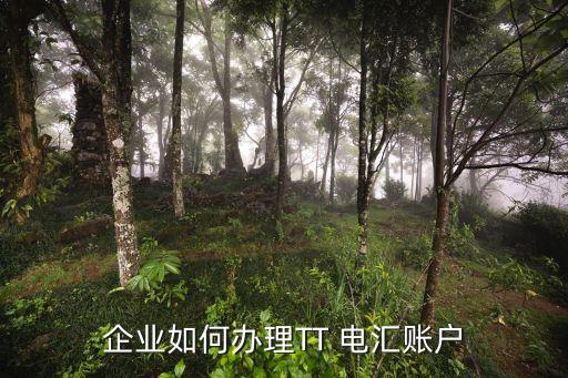 企業(yè)如何辦理TT 電匯賬戶