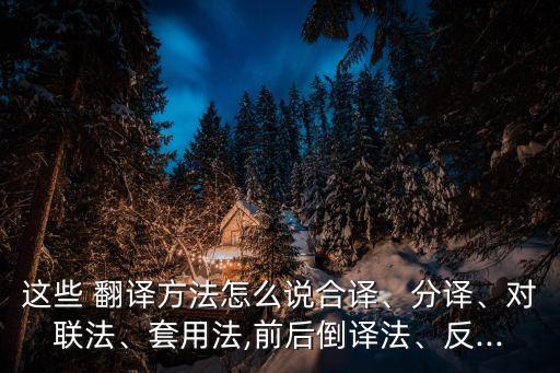 這些 翻譯方法怎么說合譯、分譯、對聯(lián)法、套用法,前后倒譯法、反...
