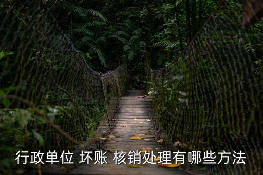 行政單位 壞賬 核銷處理有哪些方法