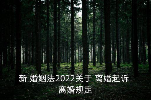 2022年婚姻法離婚新規(guī)定