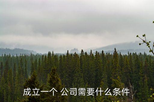 成立一個(gè) 公司需要什么條件