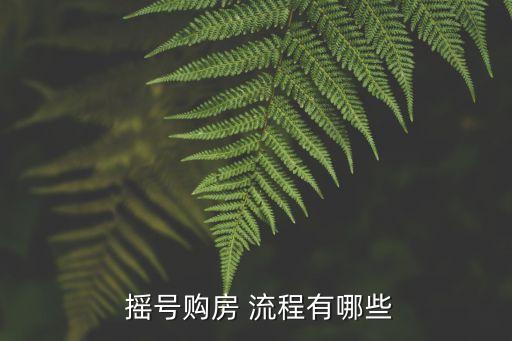 搖號(hào)購房 流程有哪些