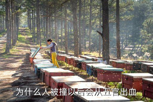 腦脊液鼻漏會死人嗎,流鼻涕像流水一樣是怎么回事