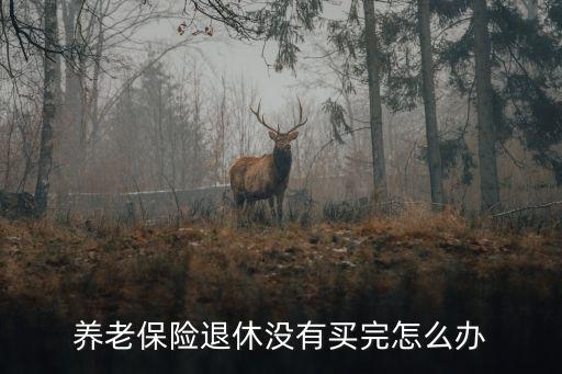 養(yǎng)老保險退休沒有買完怎么辦