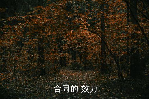  合同的 效力