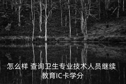 怎么樣 查詢衛(wèi)生專業(yè)技術人員繼續(xù) 教育IC卡學分