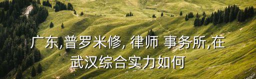 汕頭律師事務(wù)所,群眾汕頭律師事務(wù)所