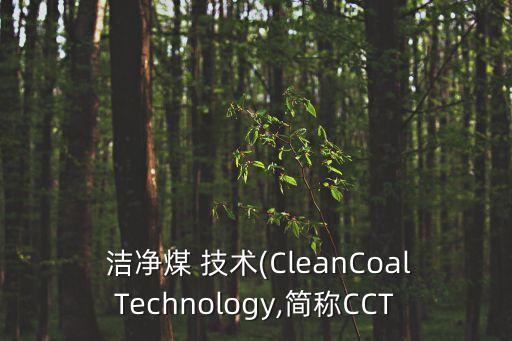  潔凈煤 技術(shù)(CleanCoalTechnology,簡稱CCT