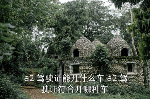 a2可以駕駛什么車型,豐田考斯特12座商務(wù)車價格