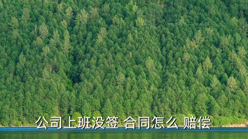 公司上班沒(méi)簽 合同怎么 賠償