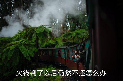 欠錢判了以后仍然不還怎么辦