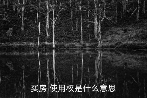買房 使用權(quán)是什么意思