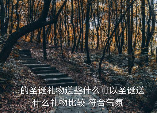 ...的圣誕禮物送些什么可以圣誕送什么禮物比較 符合氣氛