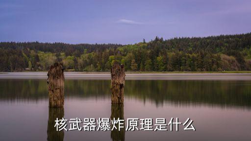 乏燃料后處理