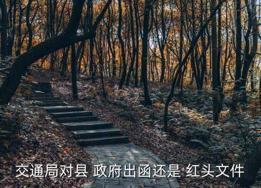 政府紅頭文件