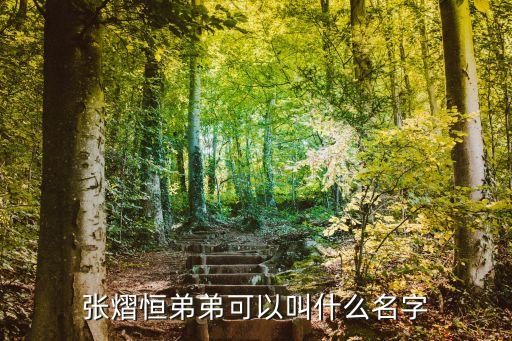 張熠恒弟弟可以叫什么名字