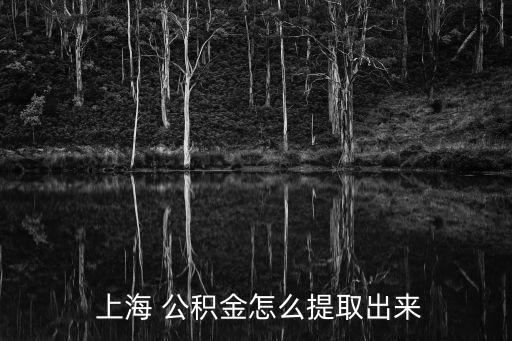  上海 公積金怎么提取出來